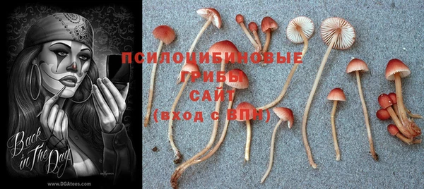 эйфоретик Богородицк