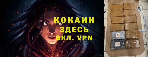 спайс Арсеньев
