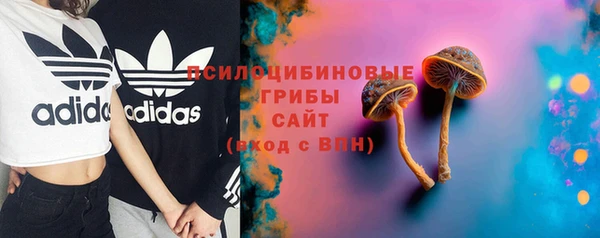 ECSTASY Алзамай