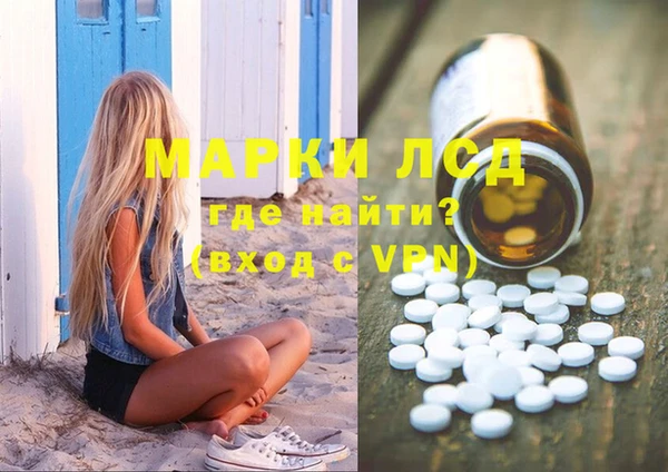 ECSTASY Алзамай