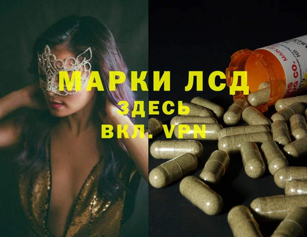 ECSTASY Алзамай