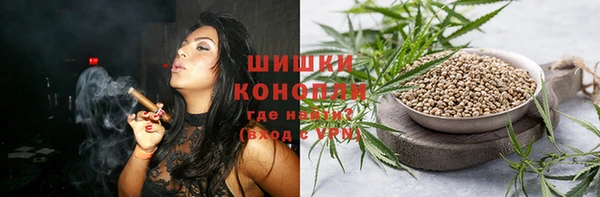 спайс Арсеньев