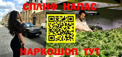 сатива Малгобек
