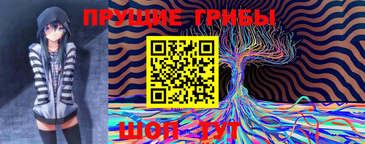 Псилоцибиновые грибы Psilocybe Йошкар-Ола