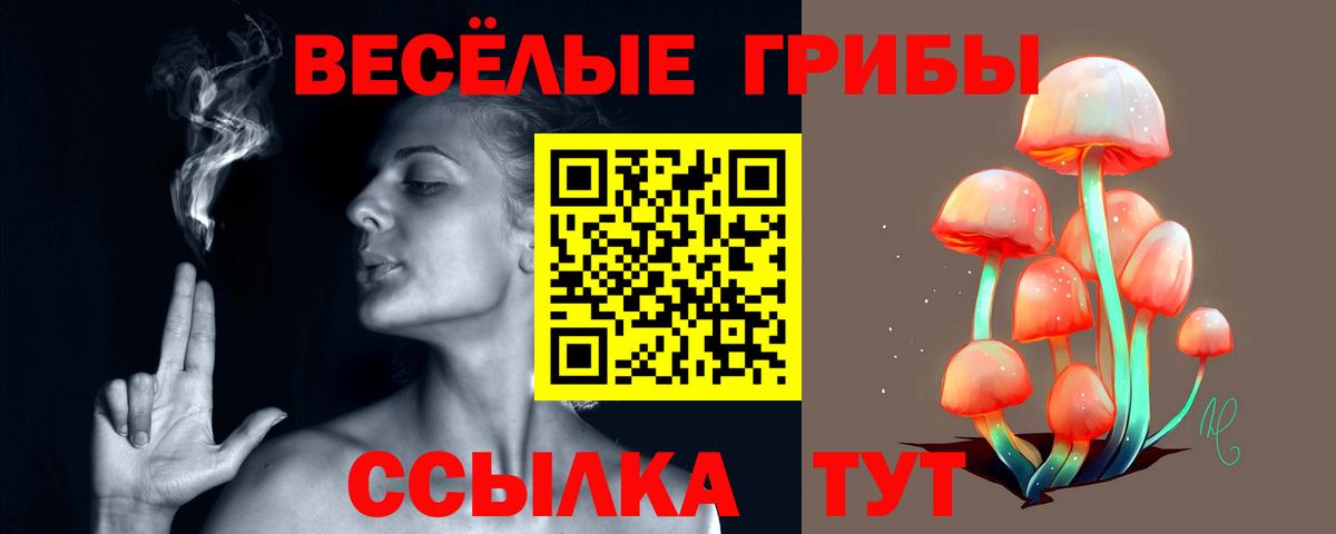 Галлюциногенные грибы Cubensis  закладки  Йошкар-Ола  Галлюциногенные грибы ЛСД  Вход с VPN 